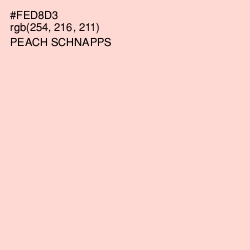 #FED8D3 - Peach Schnapps Color Image